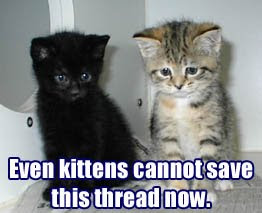 392363-kittenssave.jpg